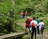 près du petit pont de bois